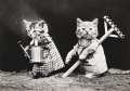 koty bw.jpg