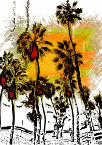 Plakat - california